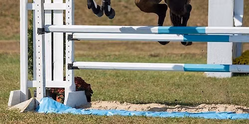 Triangle Show Series Jumpers