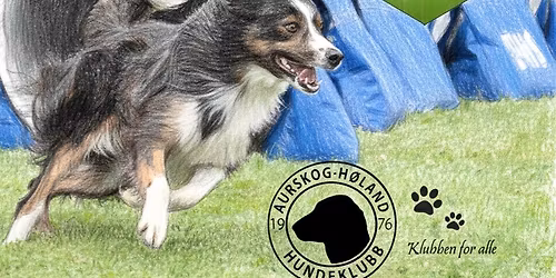 Finstadbru V\u00e5rstevne 