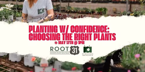 Planting with Confidence: Choosing the Right Plants