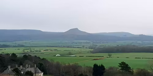 The Pine Forest 5k Trail 2026