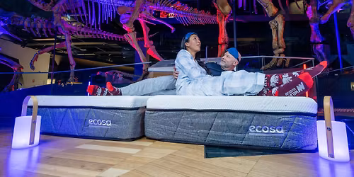 Adult Museum Sleepovers