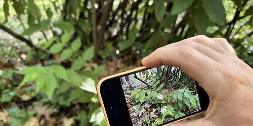 iNaturalist bioblitz on the Mount Vernon Trail