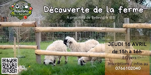 Visite de la ferme Des Moutons \u00e0 l'Horizon