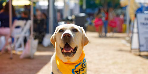 DogFest OKC Kickoff - Bungalow23