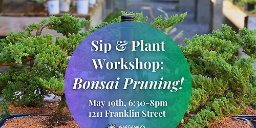 Sip & Plant Workshop: Bonsai Pruning!
