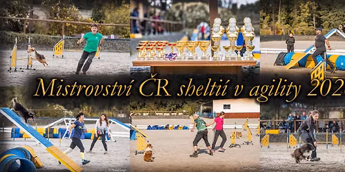 Mistrovstv\u00ed \u010cR shelti\u00ed v agility 2026