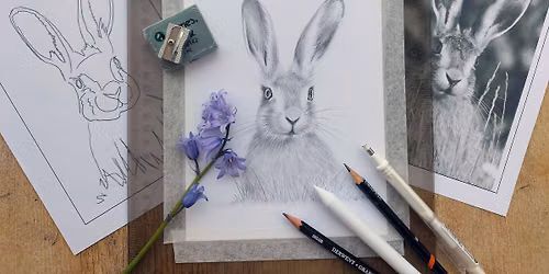 Sip 'n' Draw a Hare