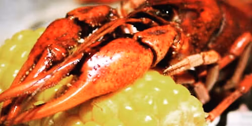 CrawDaddy Boil