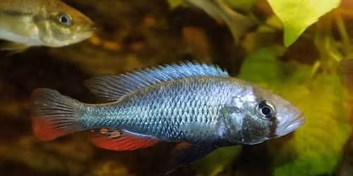 3rd Annual Winter Multi Club Swap