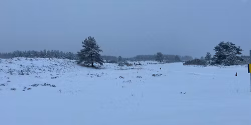 Julejagten i kommunplantagen