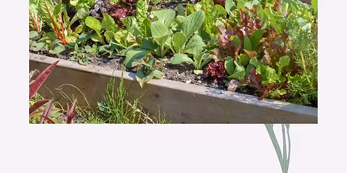 Gr\u00f8nn start: Dyrk gr\u00f8nnsaker i din hage