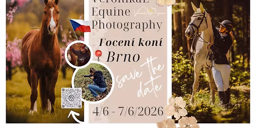 Focen\u00ed kon\u00ed v Brn\u011b a okol\u00ed \ud83d\udc0e