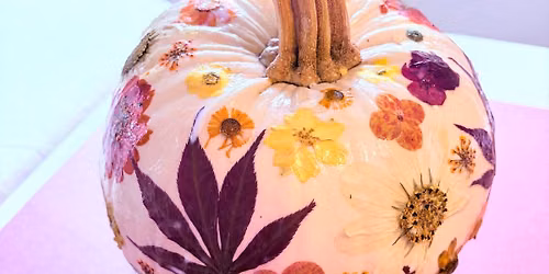 \ud83c\udf83\ud83c\udf38 PETAL & PUMPKIN\ud83c\udf38\ud83c\udf83