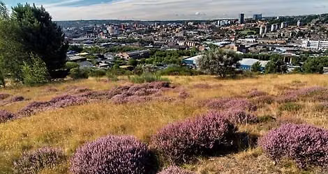Oddie's Hikers - Parkwood Springs, Sheffield
