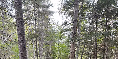 Backpacking: Taking the First Step