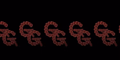 Shy Glizzy in Washington