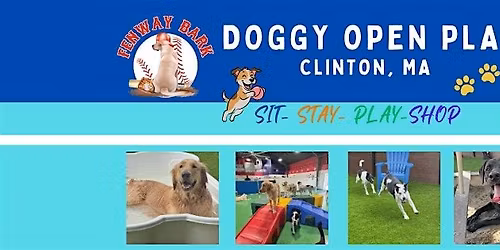 Doggy Open Play
