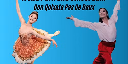 Parking Don Quixote - San Francisco