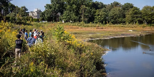 NYC DEP Staten Island Bluebelt BioBlitz