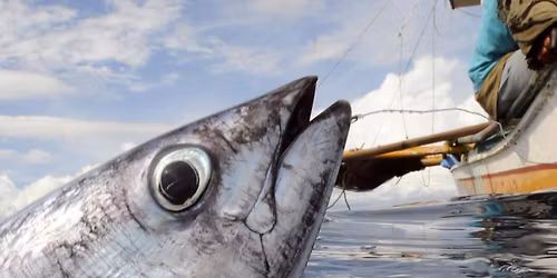 Meet 'n Eat at FortWhyte Alive