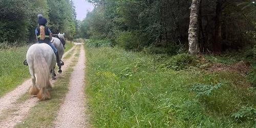 ***FULLY BOOKED*** Guided Ride - Dalby Forest
