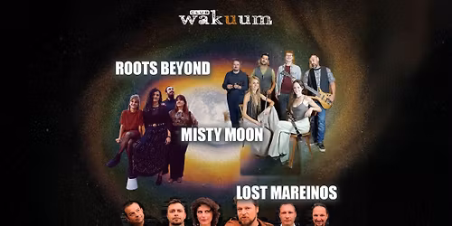 Lost Mareinos - Misty Moon - Roots Beyond