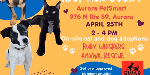 PetSmart Adoption Event