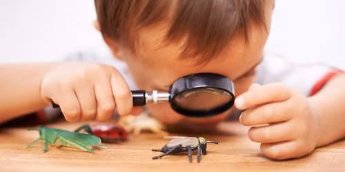Preschool Move, Play & Grow: Bugs
