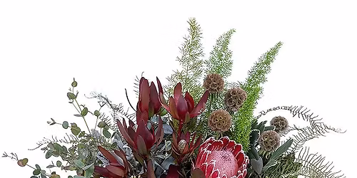 Botanical Beauty Design Workshop