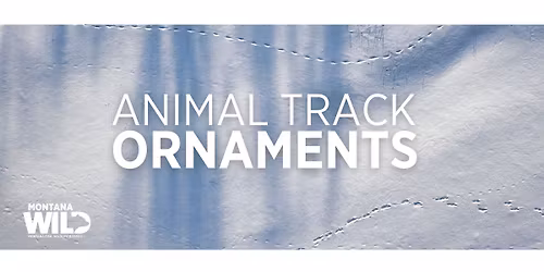 Animal Track Ornaments