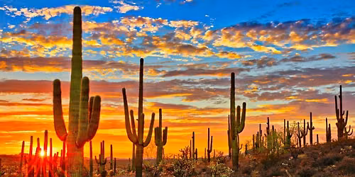 Sonoran Desert Paganism & Intentional Living Basics- RESERVATION REQUIRED
