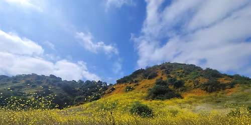 Neuro-Botany: A Tactical Foraging Hike Unique to San Diego