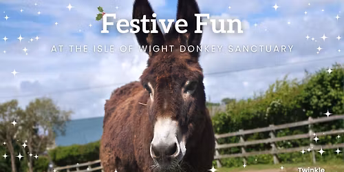Christmas 2025 at the Isle of Wight Donkey Sanctuary
