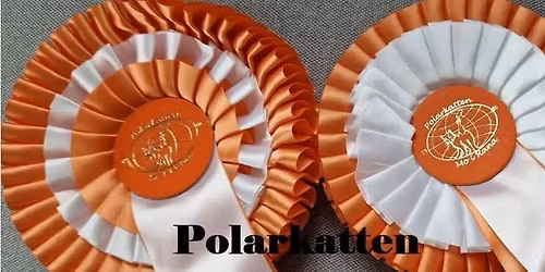Polarkatten - Internasjonal katteutstilling 2026