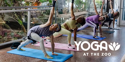 Winter Yoga at the Zoo
