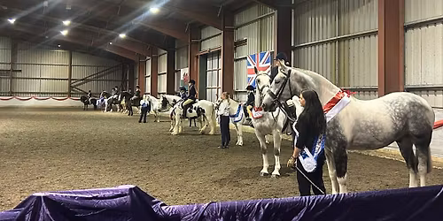 Sunnybank Showing Extravaganza