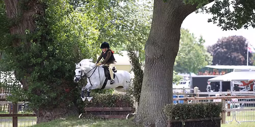 Xmas Show Jumping Fun Clinic