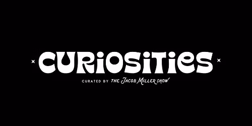 Black Friday @ Curiosities 