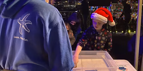 Touch Tanks & Tree Lighting