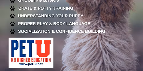 Puppy 101 Workshop