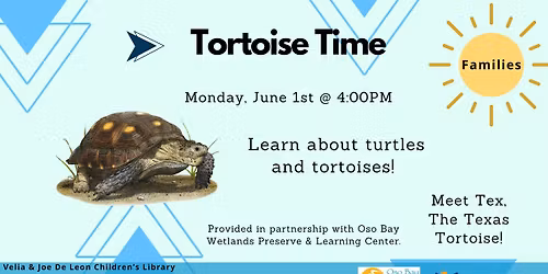 Tortoise Time