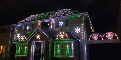 Animated Christmas Light Show