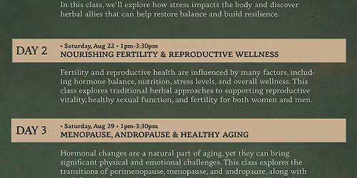 Hormone Wellness Series
