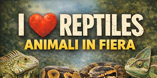 I Love Reptiles & Barboncino Day