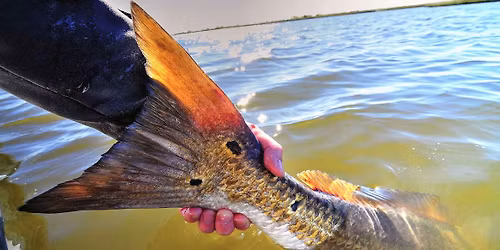 6th Annual Who\u2019s Your Daddy Tournament