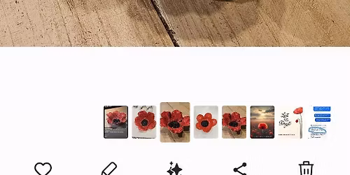 Pottery Poppy  Bird Bath