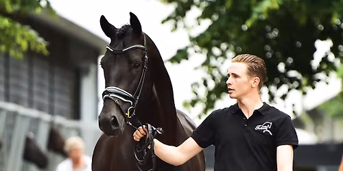 Open dag Stoeterij Turfhorst
