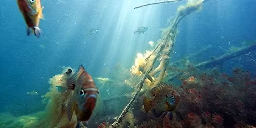 Lake and Clean-Up Day