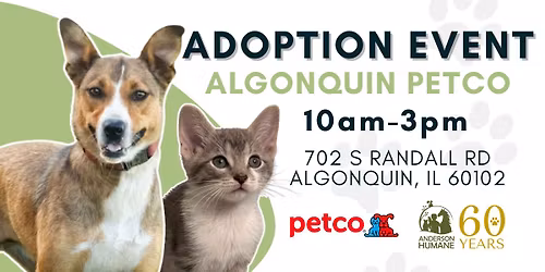 Algonquin Petco - Adoption Event
