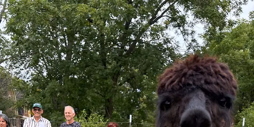 "Pacas & Pints